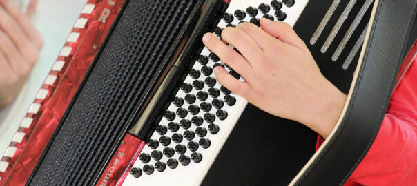 Akkordeon Detailbild hmg