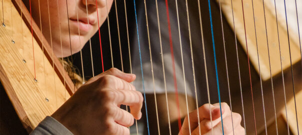 Har-Veeh-Studio Detailbild